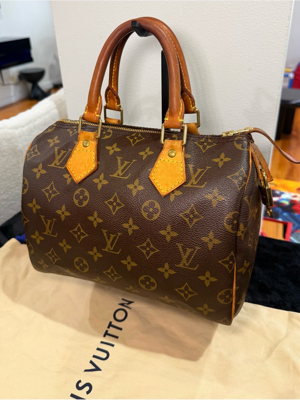 Louis Vuitton Monogram Speedy 25 Bag
